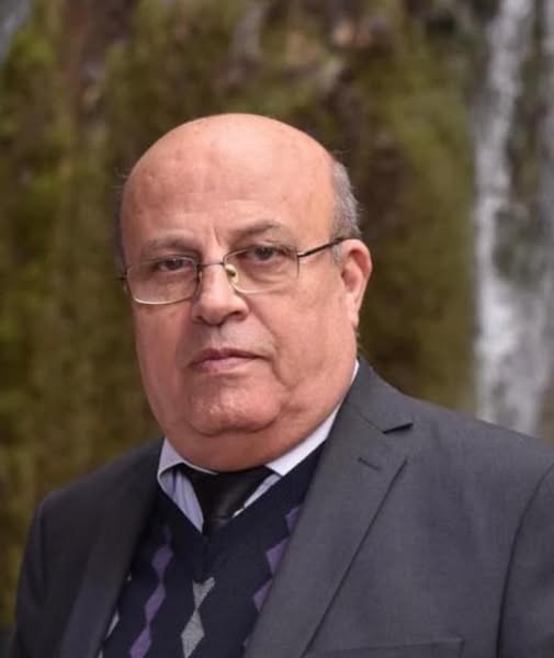 محمود نوير